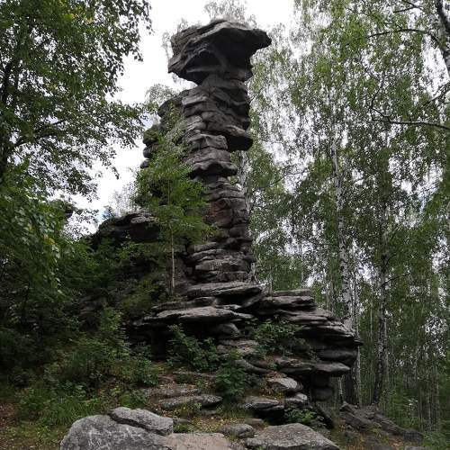 Photo #6324622
