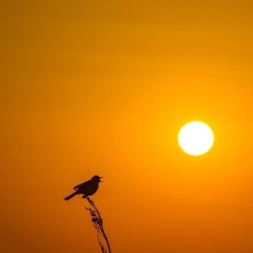 Photo #6324923