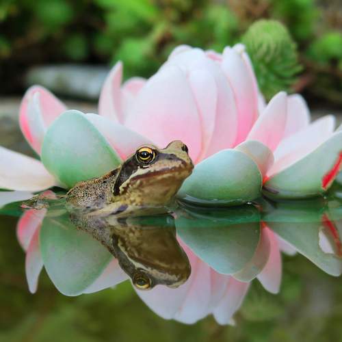 Photo #6326778