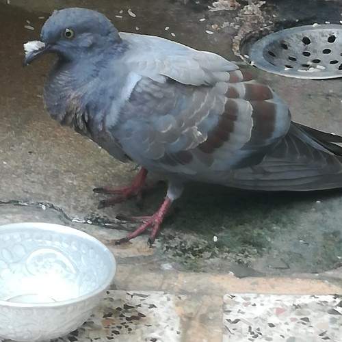 Photo #6326807