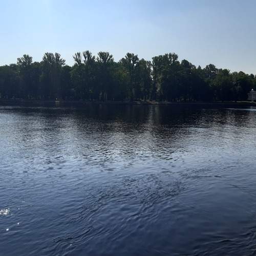 Photo #6326925
