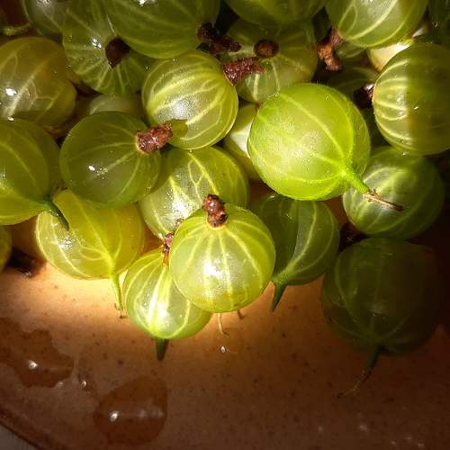 Photo #6326986