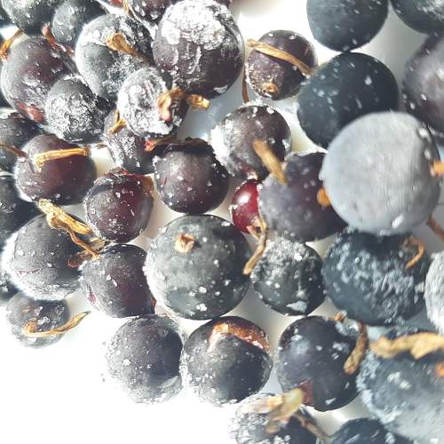 Photo #6326988