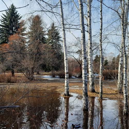 Талая вода