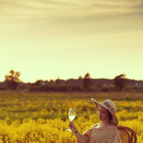 Photo #6327120
