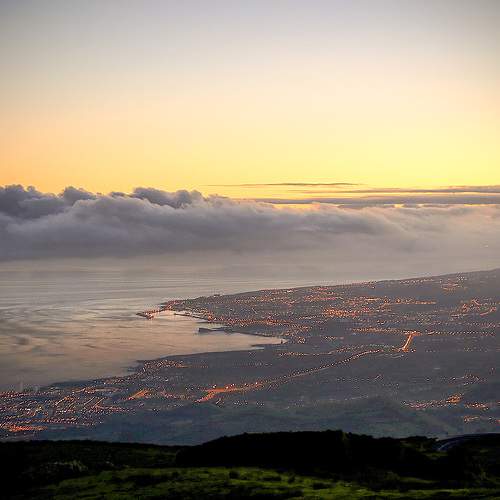 Photo #6328016