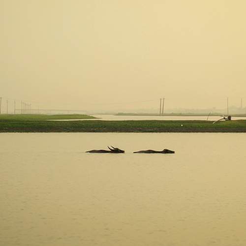 Photo #6328194