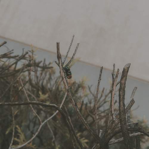 Photo #6328473