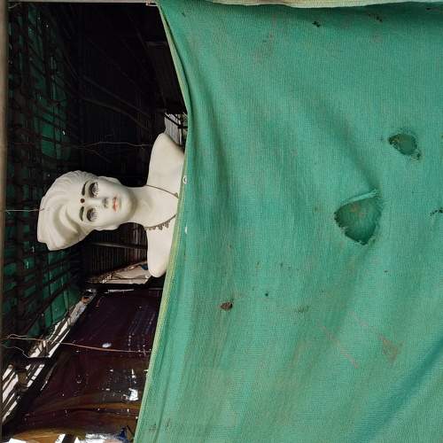 Photo #6328683