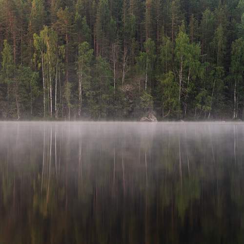 Июньское утро в Карелии