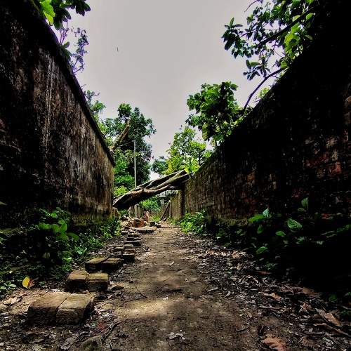 Photo #6329330