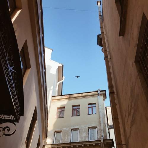 Photo #6329331