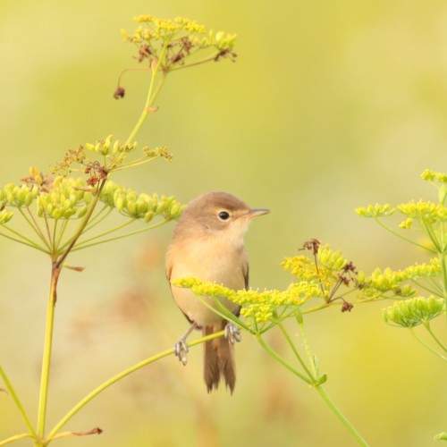 Photo #6329686