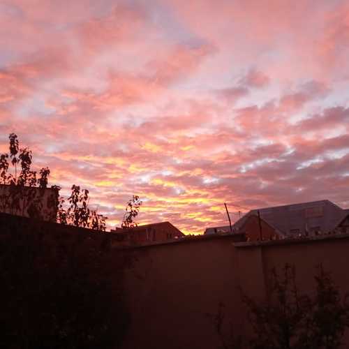Photo #6329730