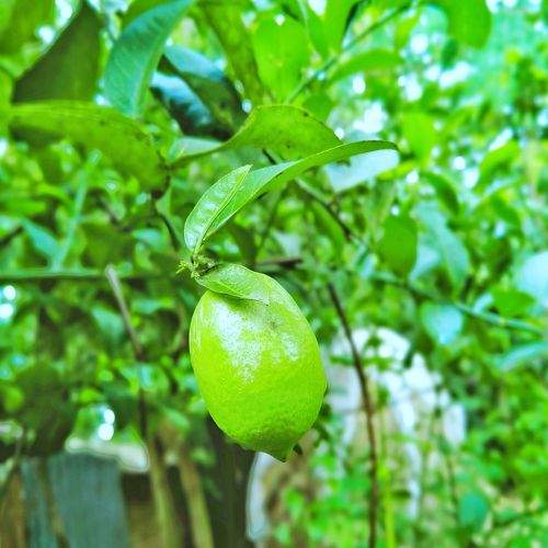 Photo #6330545