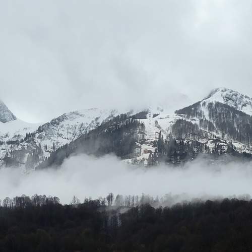 Photo #6330581