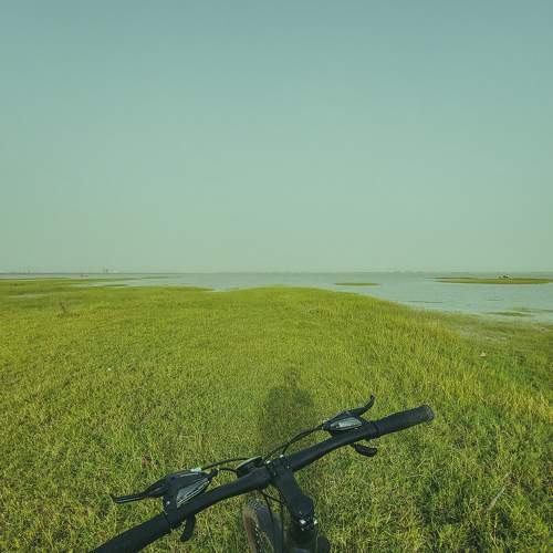 Photo #6330757