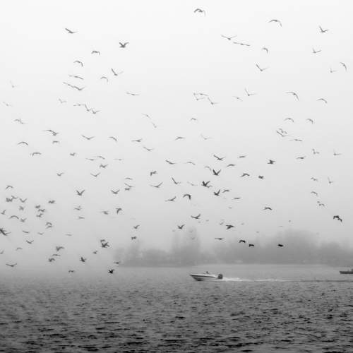 Photo #6331126