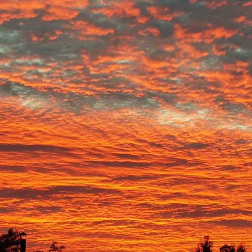 Photo #6331588