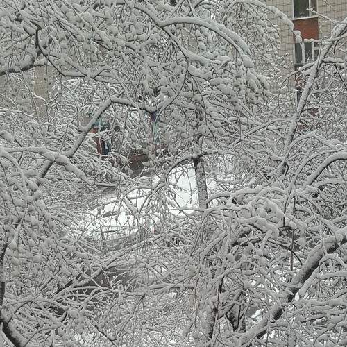 Photo #6331778
