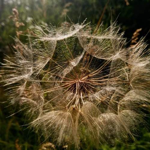 Photo #6331861