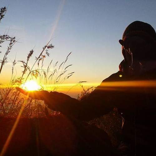 Photo #6332130