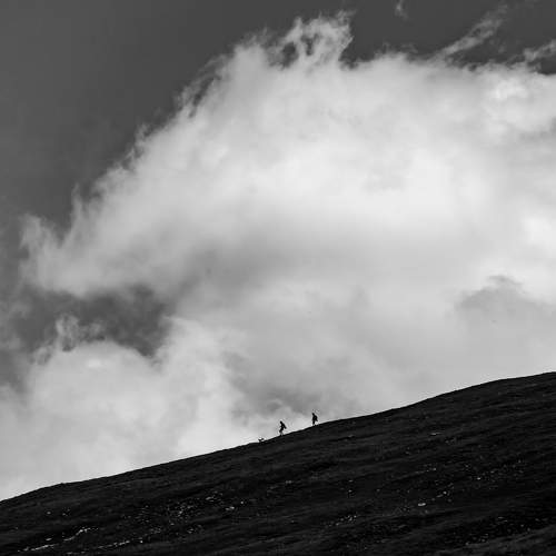 Photo #6332358