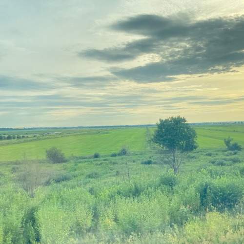 Photo #6333059