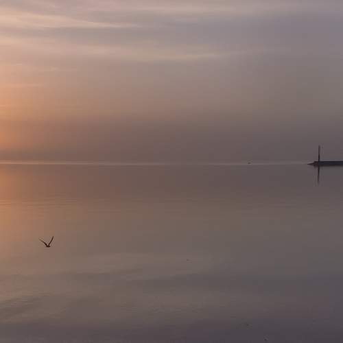 Photo #6333277