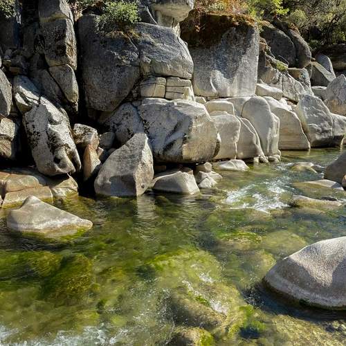 Photo #6333313