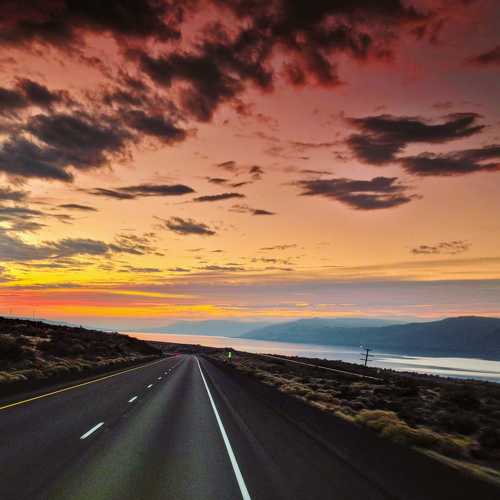 Photo #6333332
