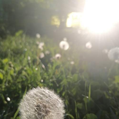 Photo #6333635