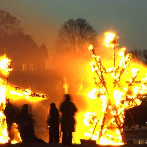 Photo #6333991
