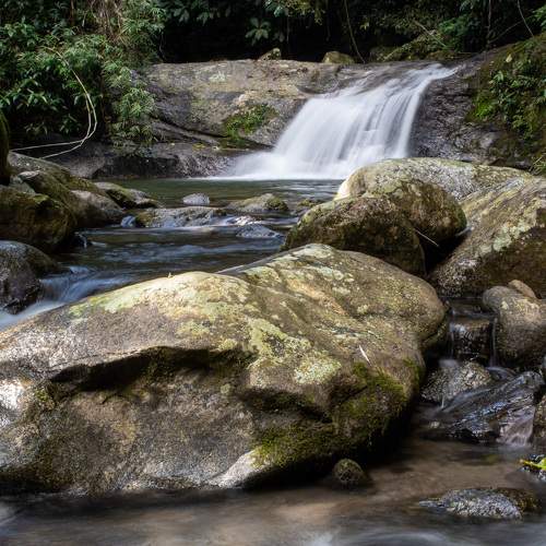 Photo #6334530