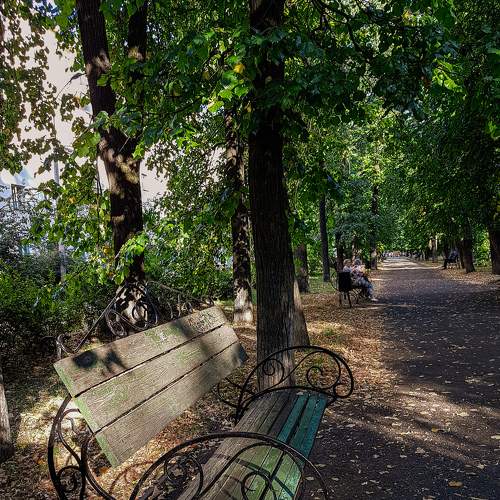 Photo #6334880
