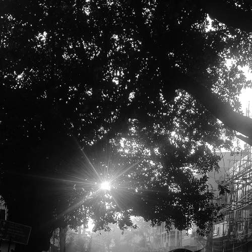 Ray of Hope!