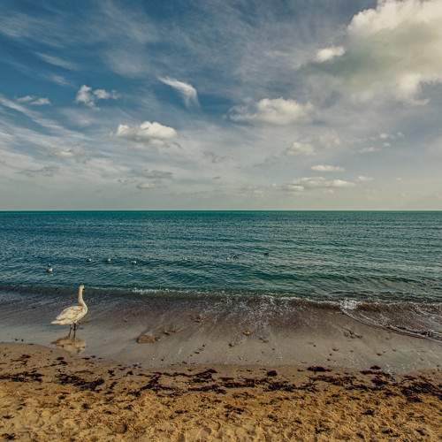 Photo #6335102