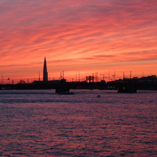 Photo #6335261