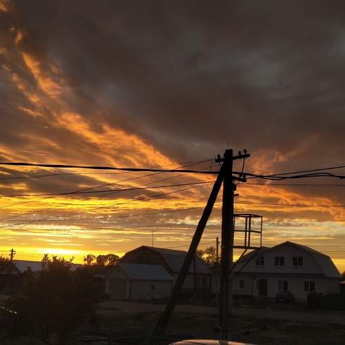 Photo #6335266
