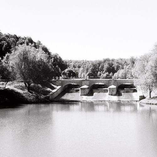 Photo #6335700