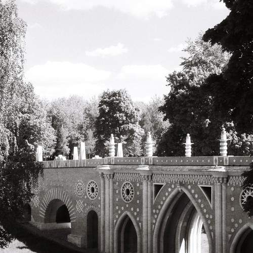 Photo #6335701