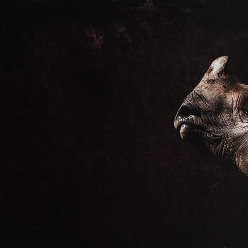 Photo #6335725