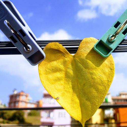 Photo #6336430