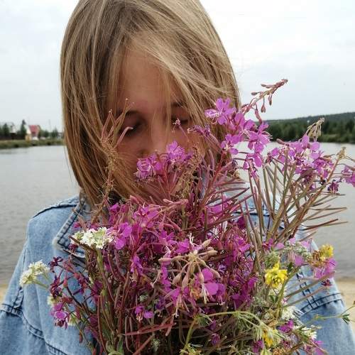 Photo #6336650