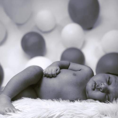 Photo #6336758