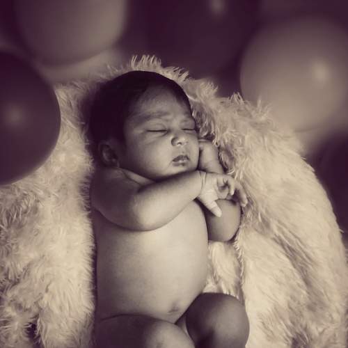 Photo #6336759