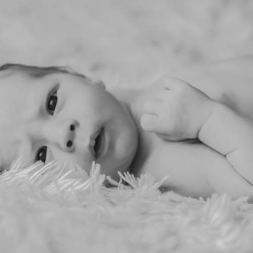 Photo #6336830