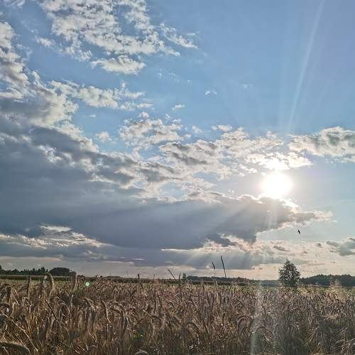 Photo #6337271