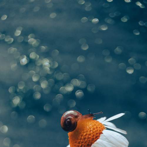 Photo #6337369