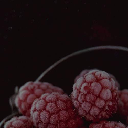 Photo #6337374